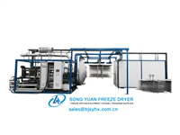 LG-50 Food Type Freeze Dryer